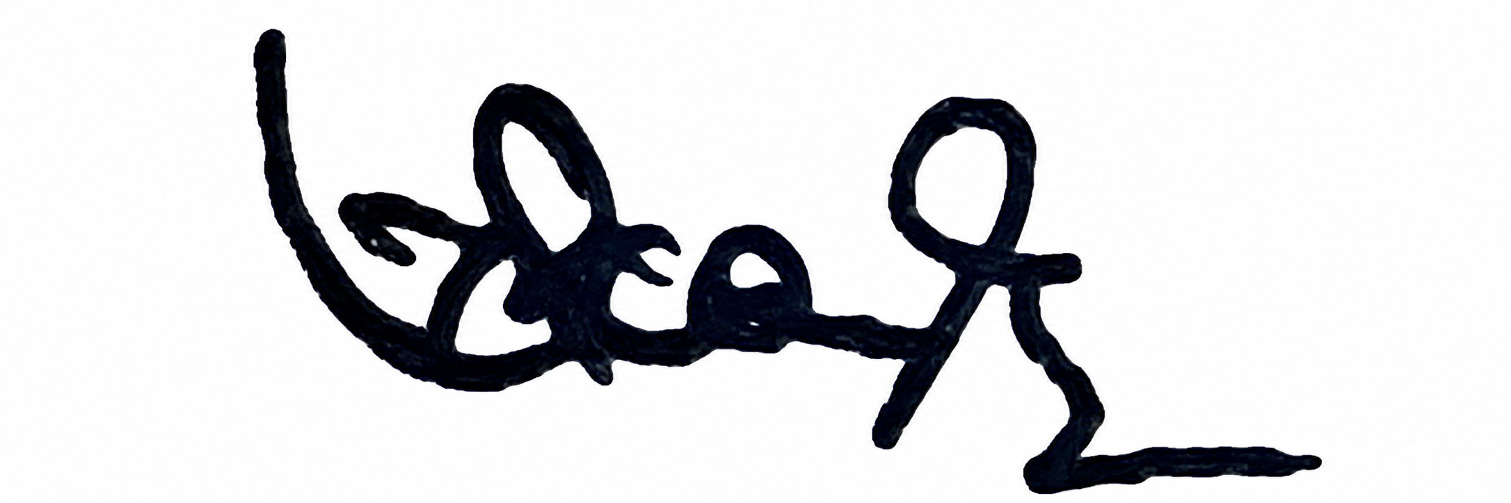 Signature preview