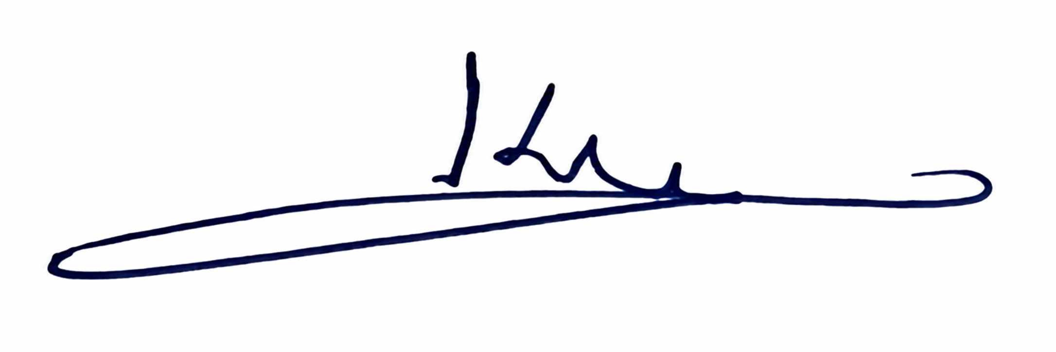 Signature preview