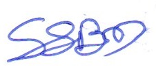 Signature preview