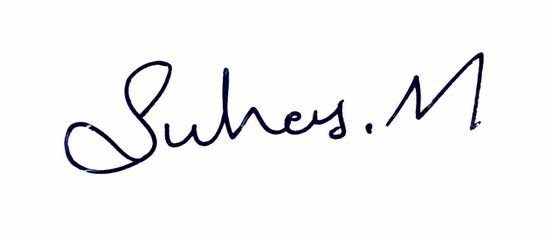 Signature preview