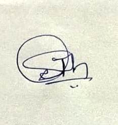 Signature preview