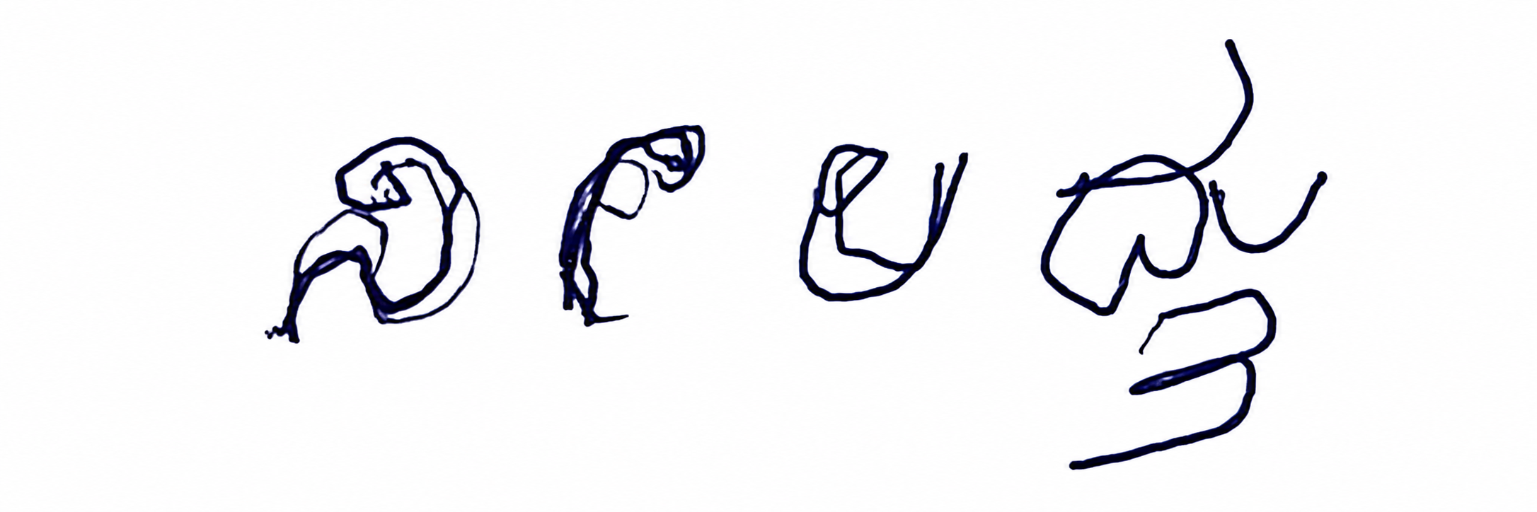 Signature preview