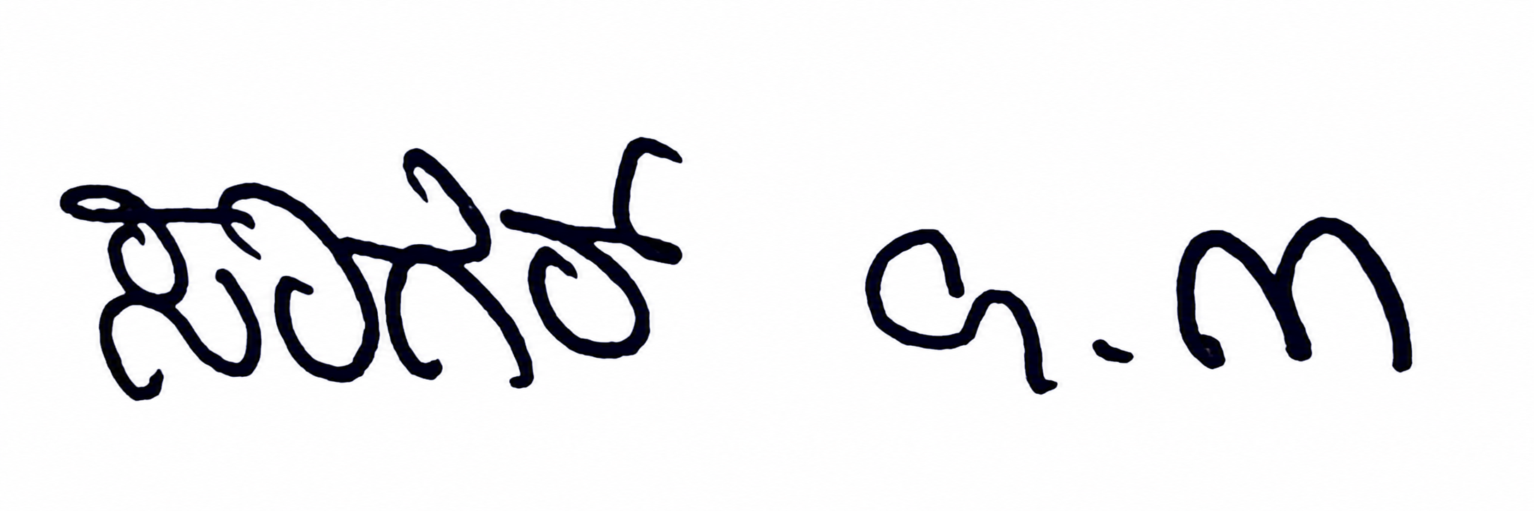 Signature preview
