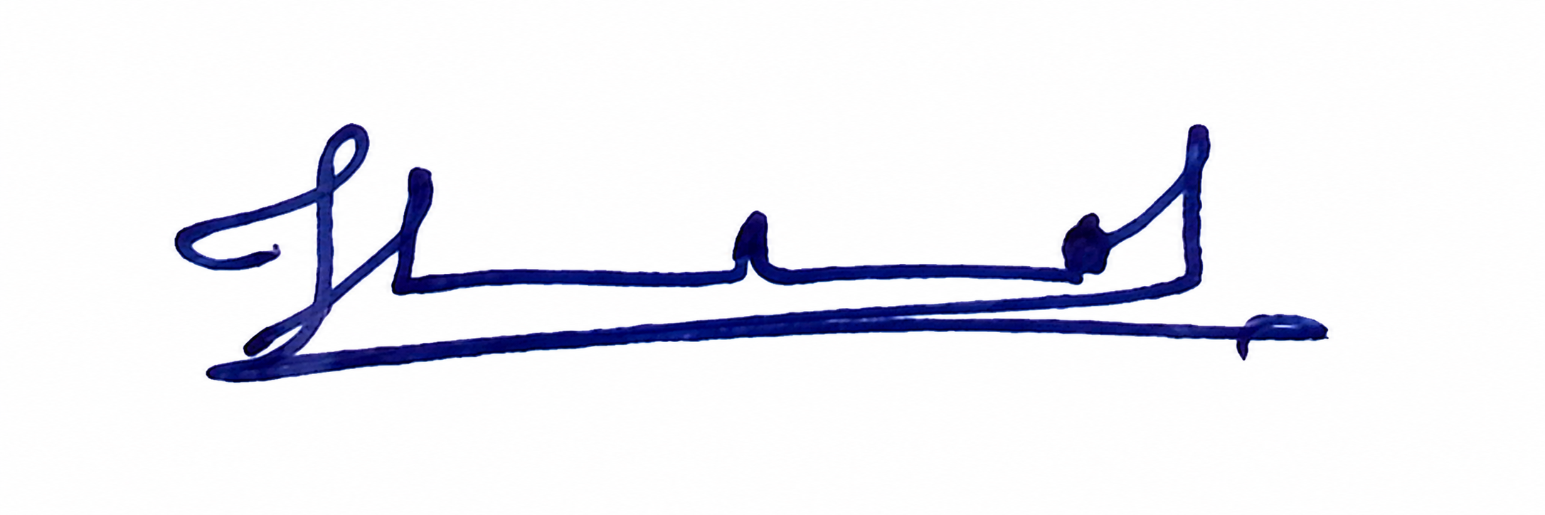 Signature preview