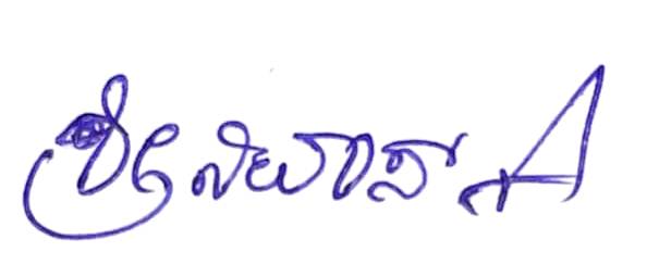 Signature preview
