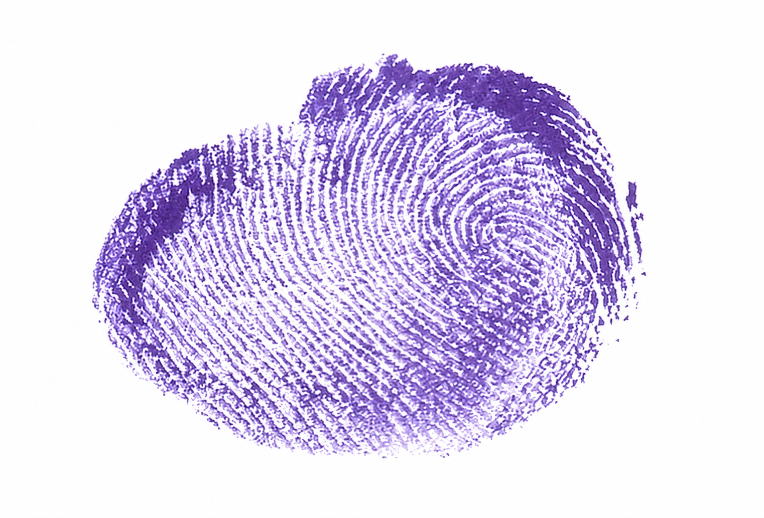 Signature preview