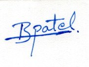 Signature preview