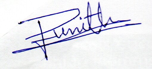 Signature preview