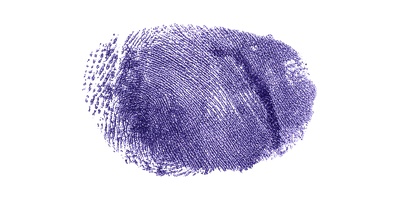 Signature preview