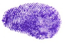 Signature preview