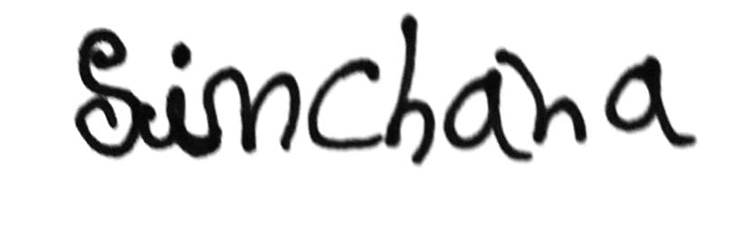 Signature preview