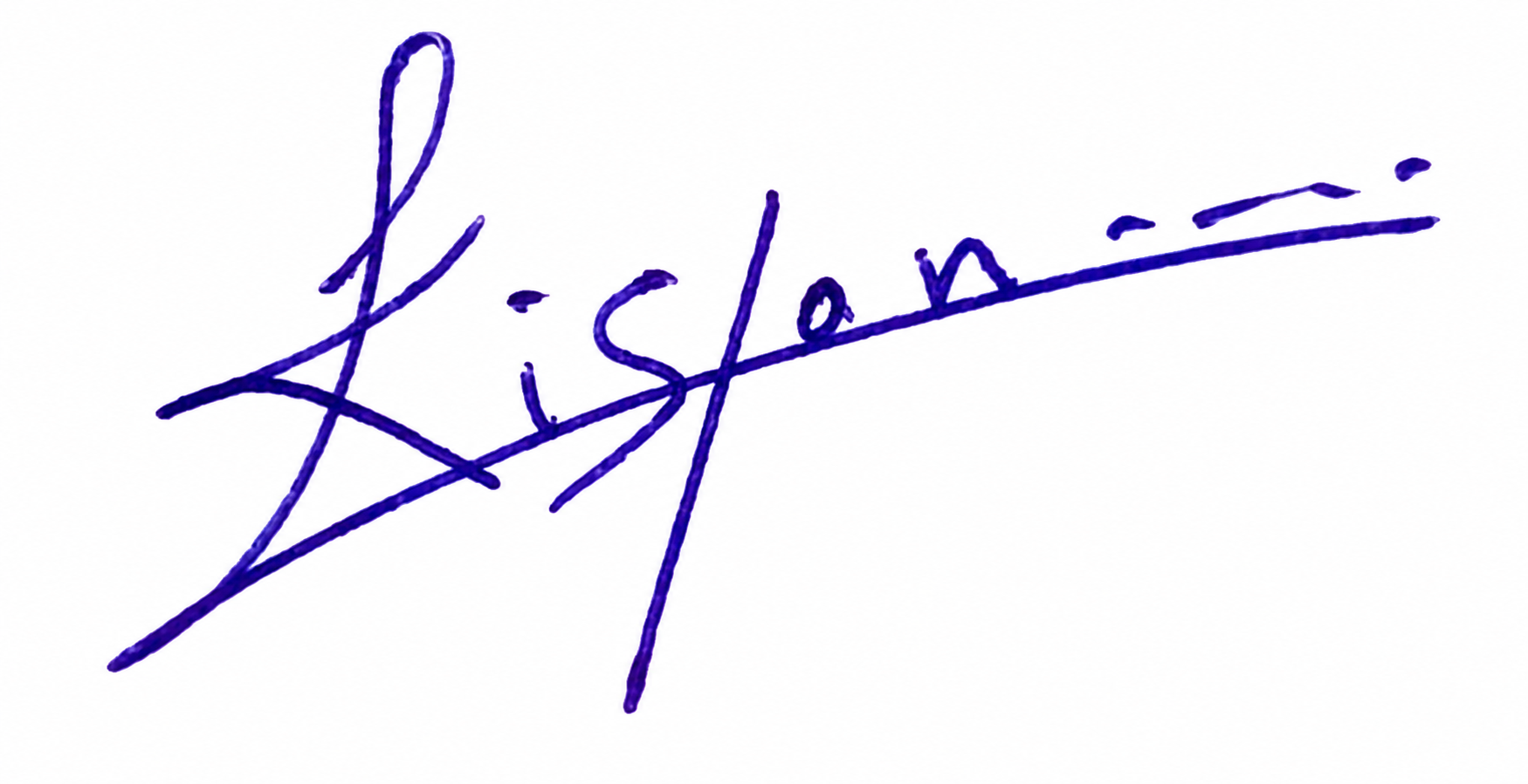 Signature preview