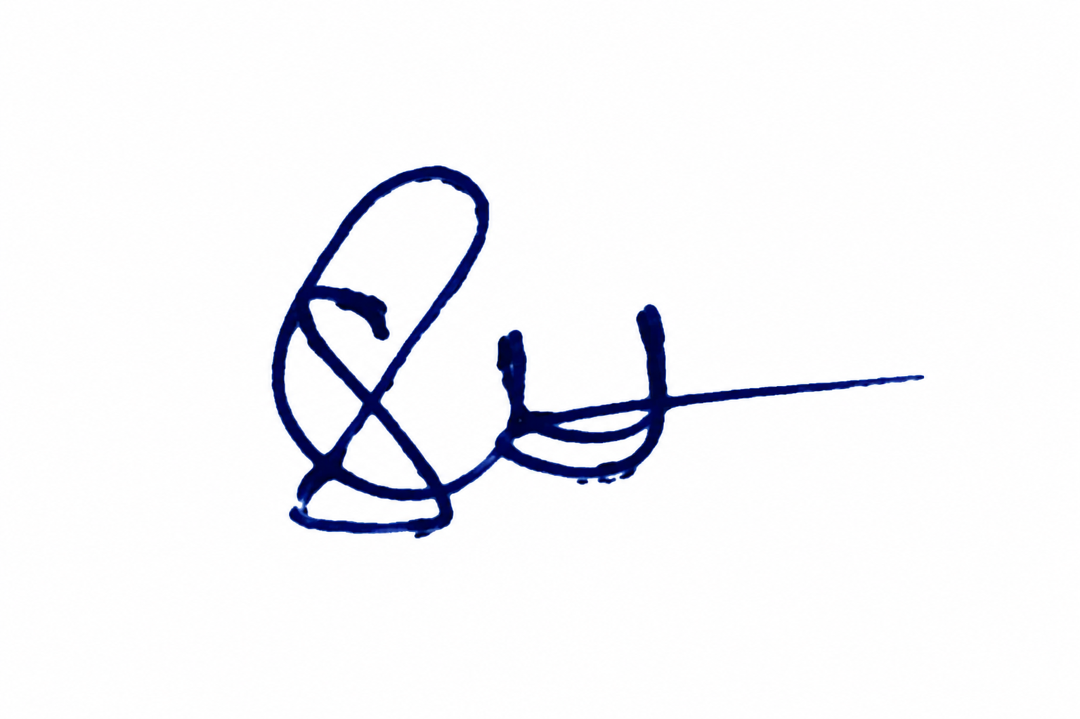 Signature preview