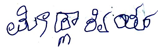 Signature preview