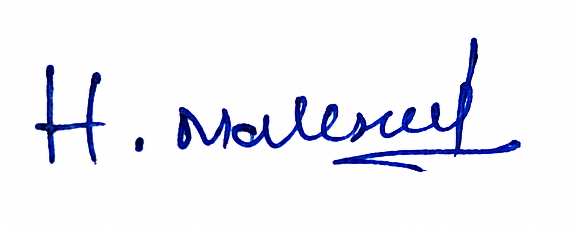 Signature preview