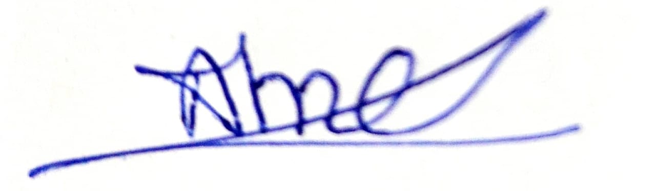 Signature preview