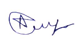 Signature preview