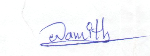 Signature preview