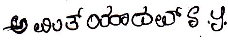Signature preview