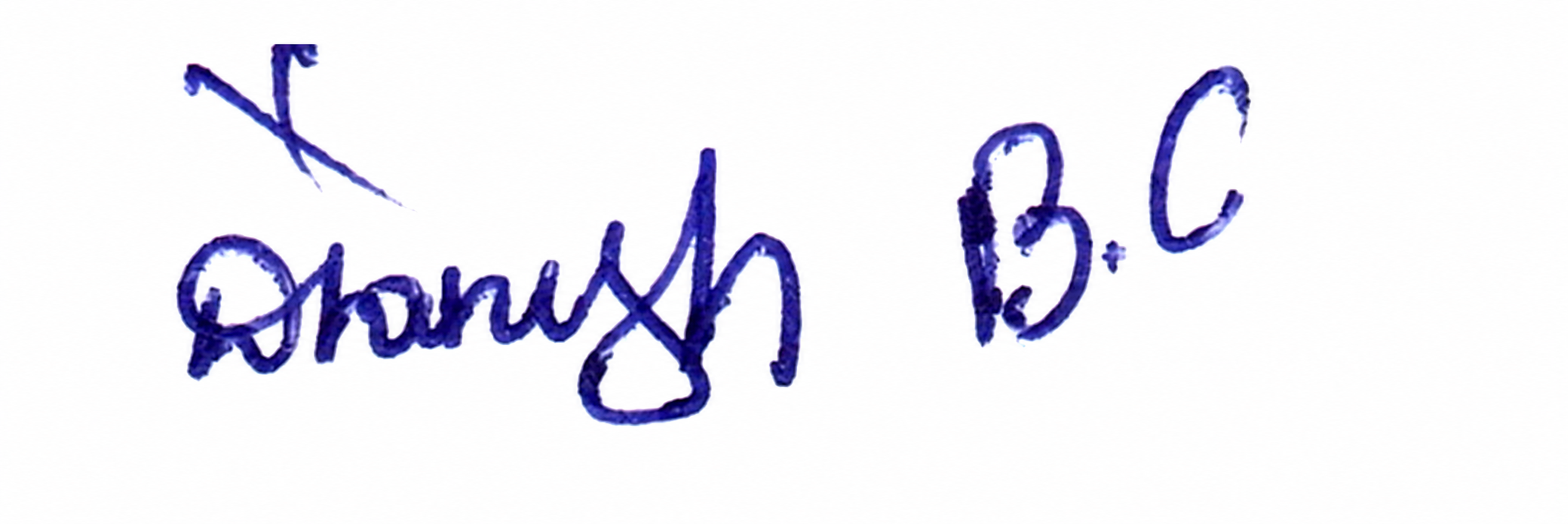Signature preview