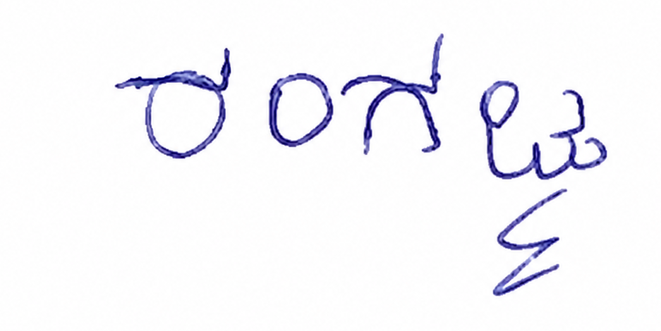 Signature preview