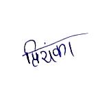 Signature preview