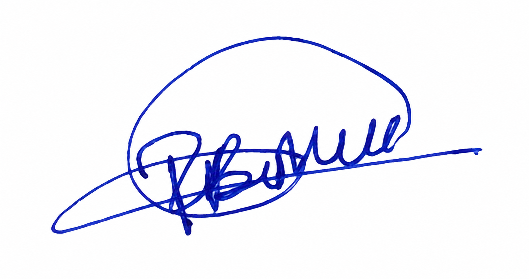 Signature preview