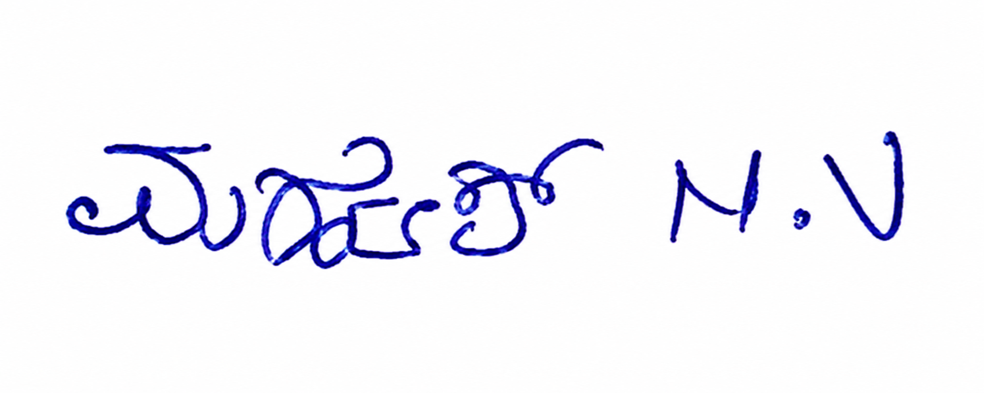 Signature preview