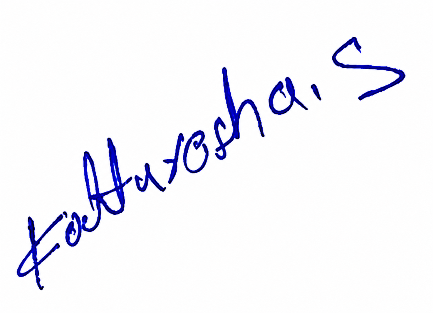 Signature preview