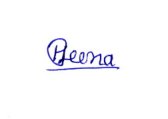 Signature preview