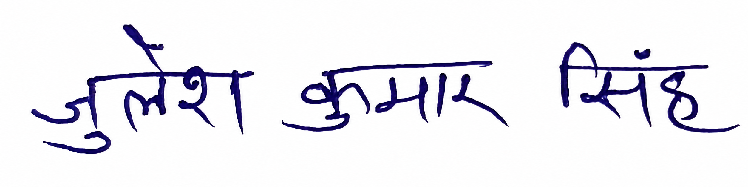 Signature preview