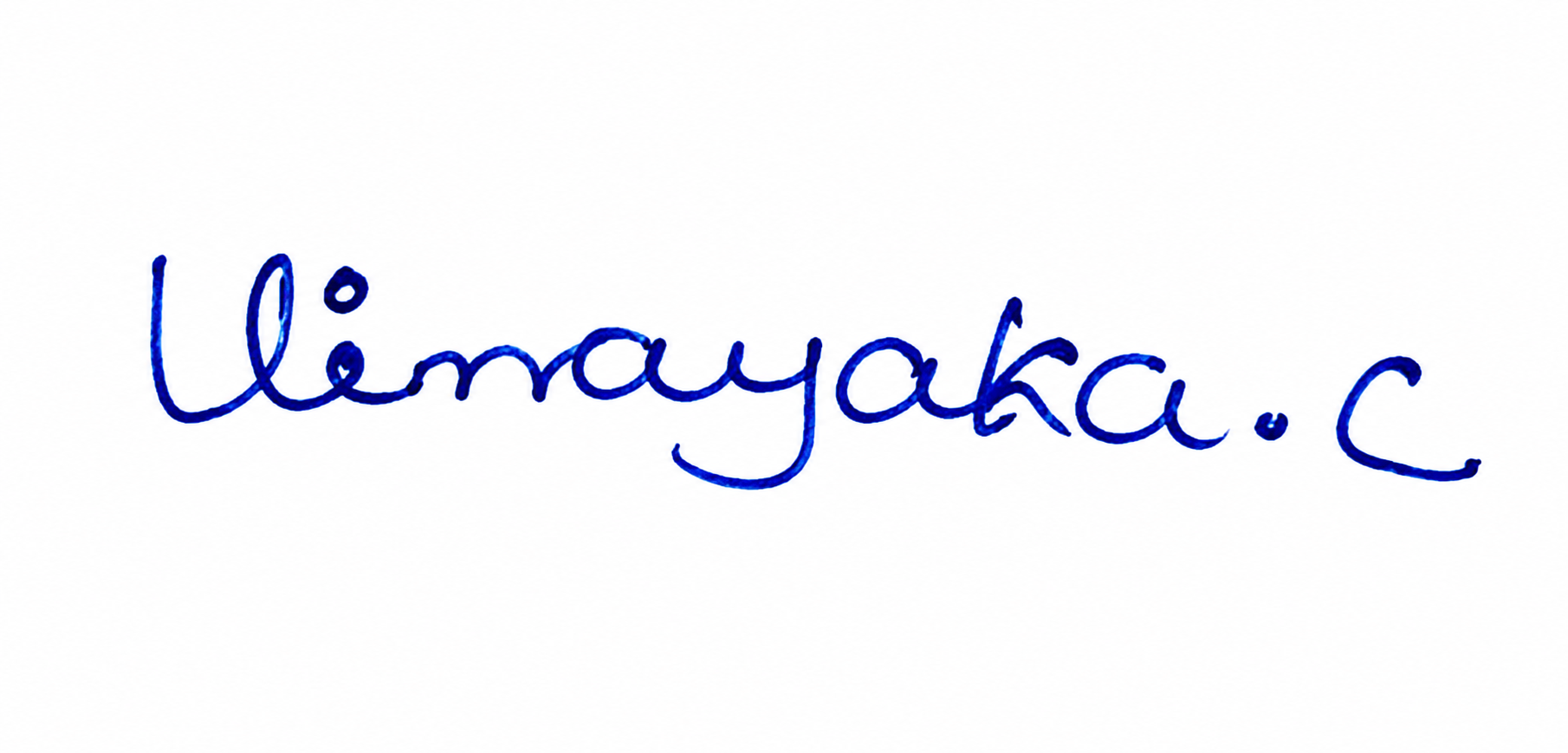 Signature preview