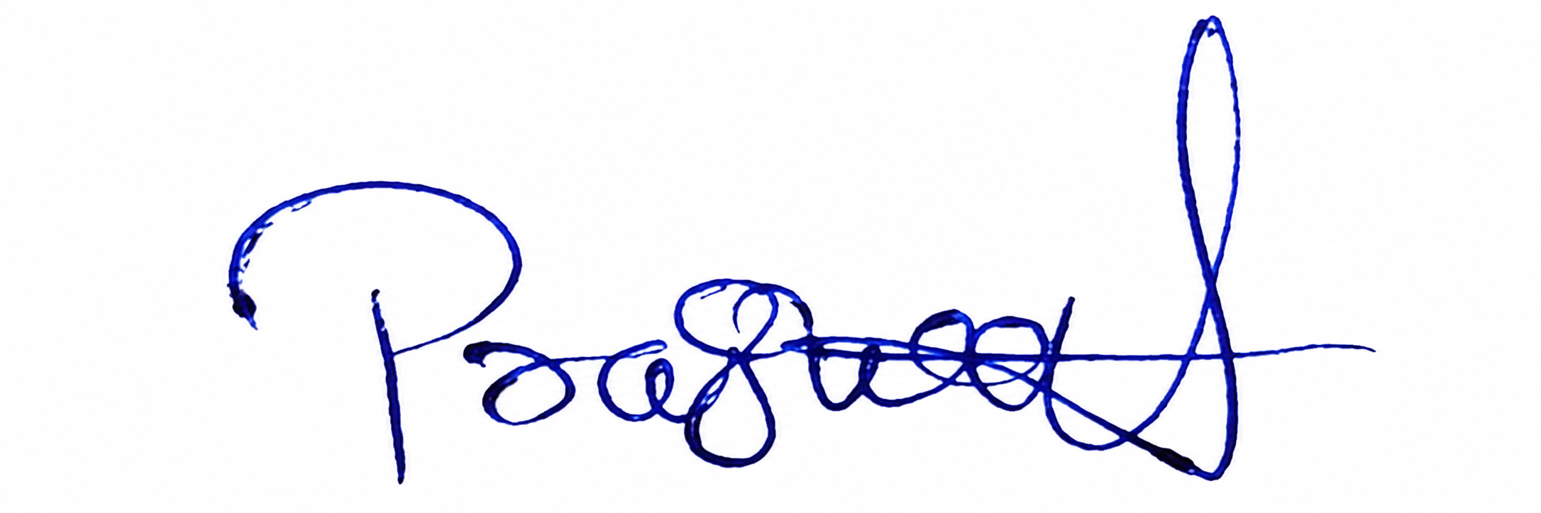Signature preview