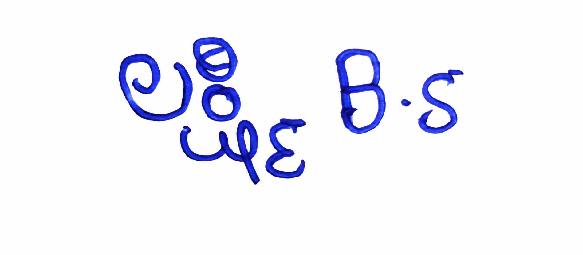 Signature preview
