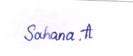 Signature preview