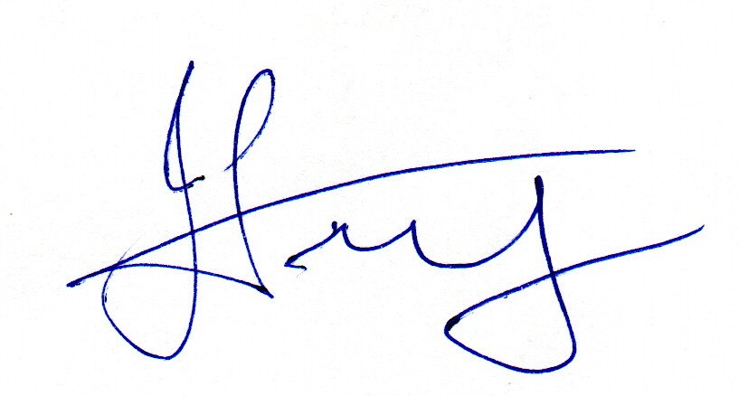 Signature preview