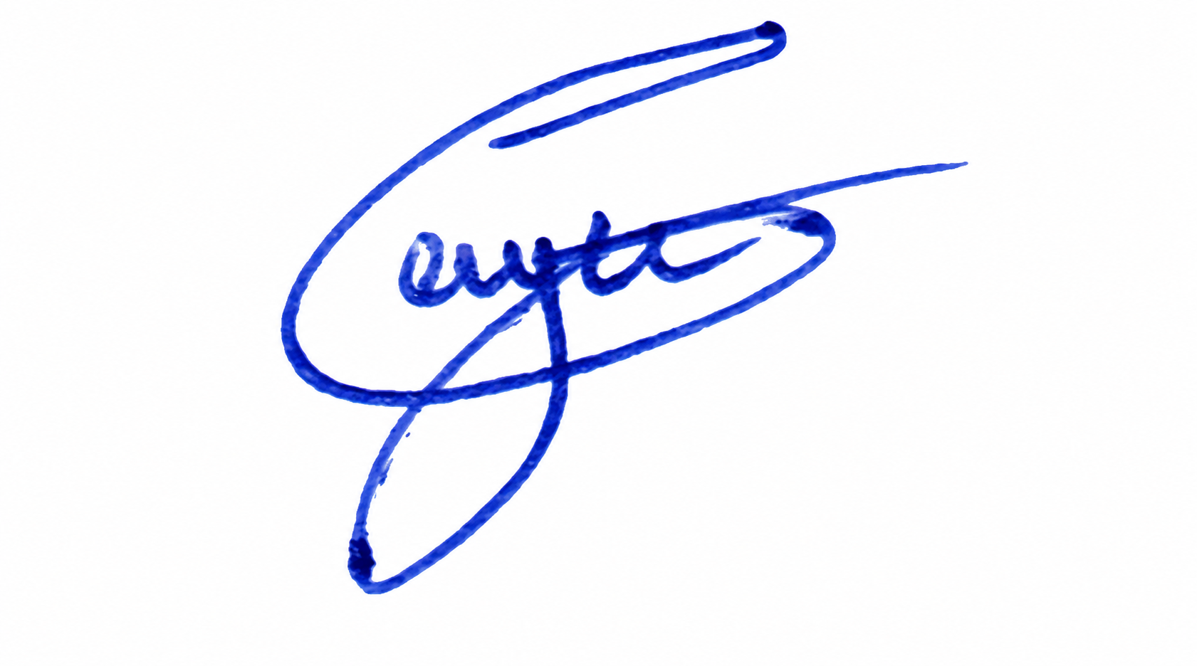 Signature preview