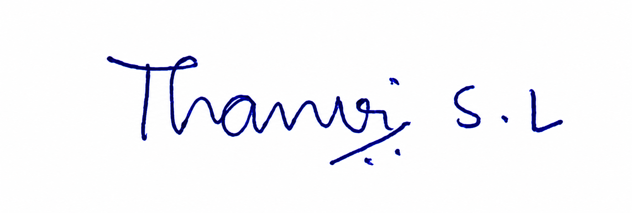 Signature preview