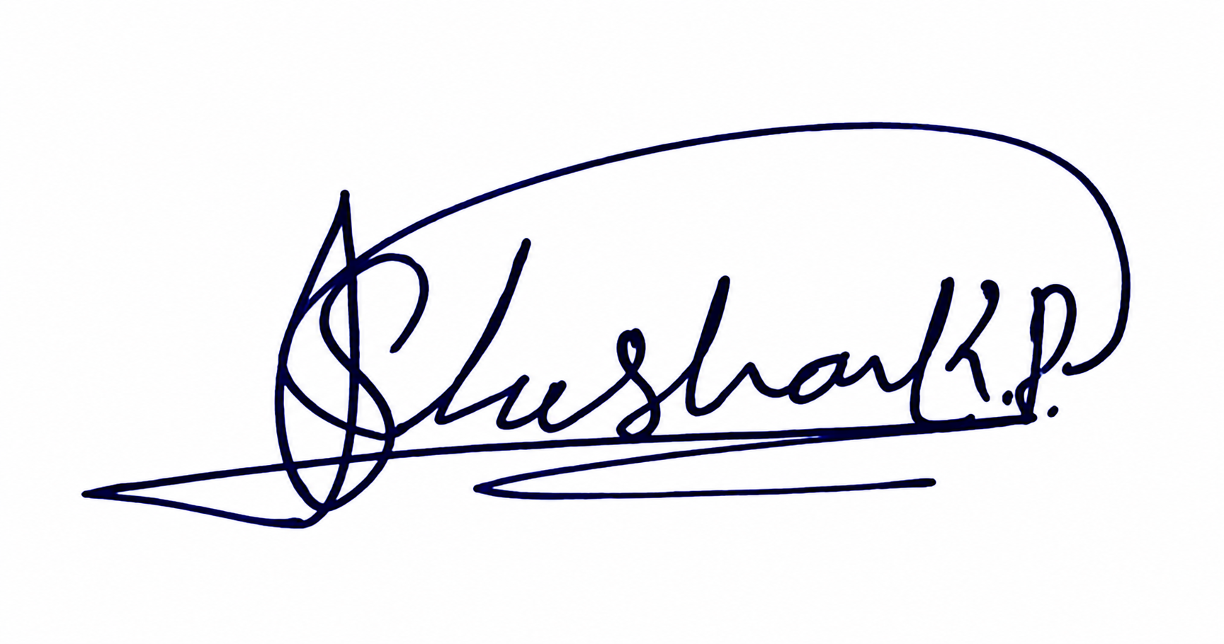 Signature preview