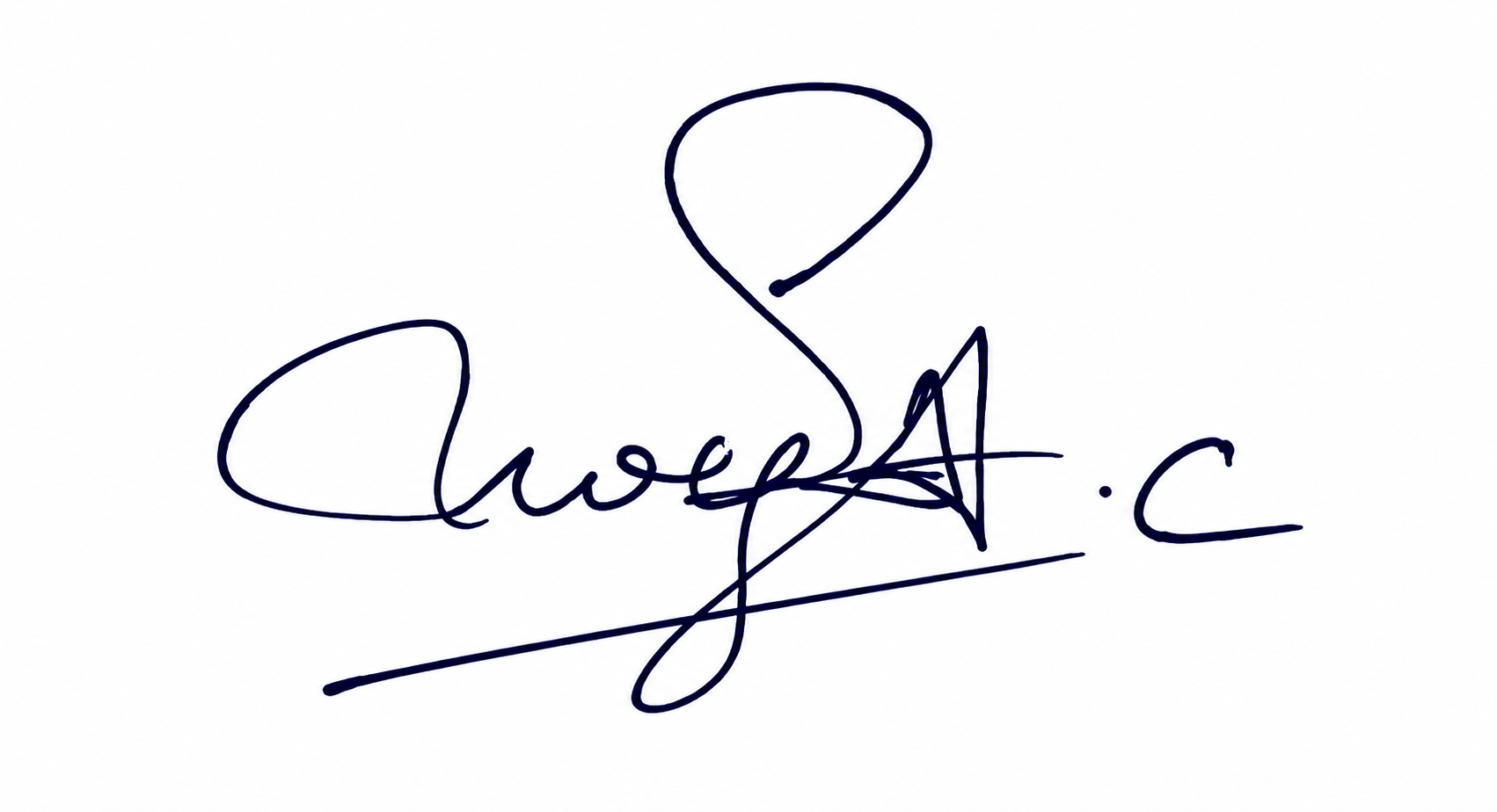 Signature preview