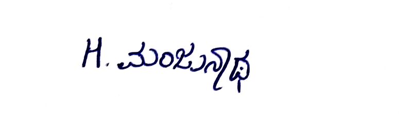 Signature preview