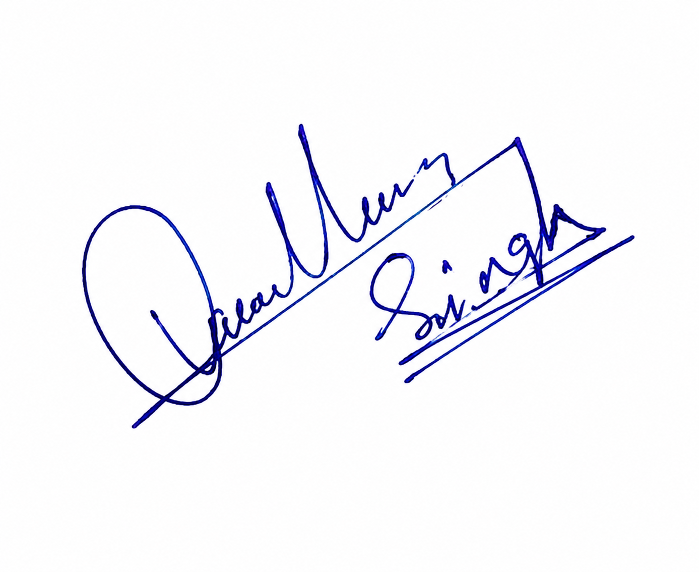 Signature preview