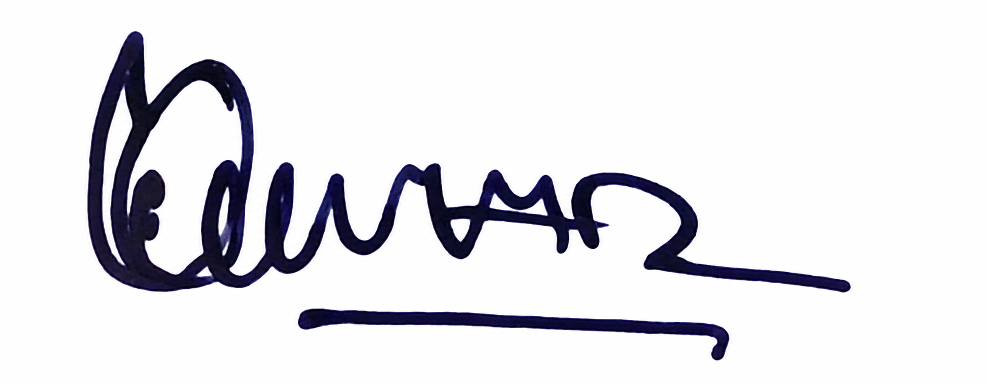 Signature preview