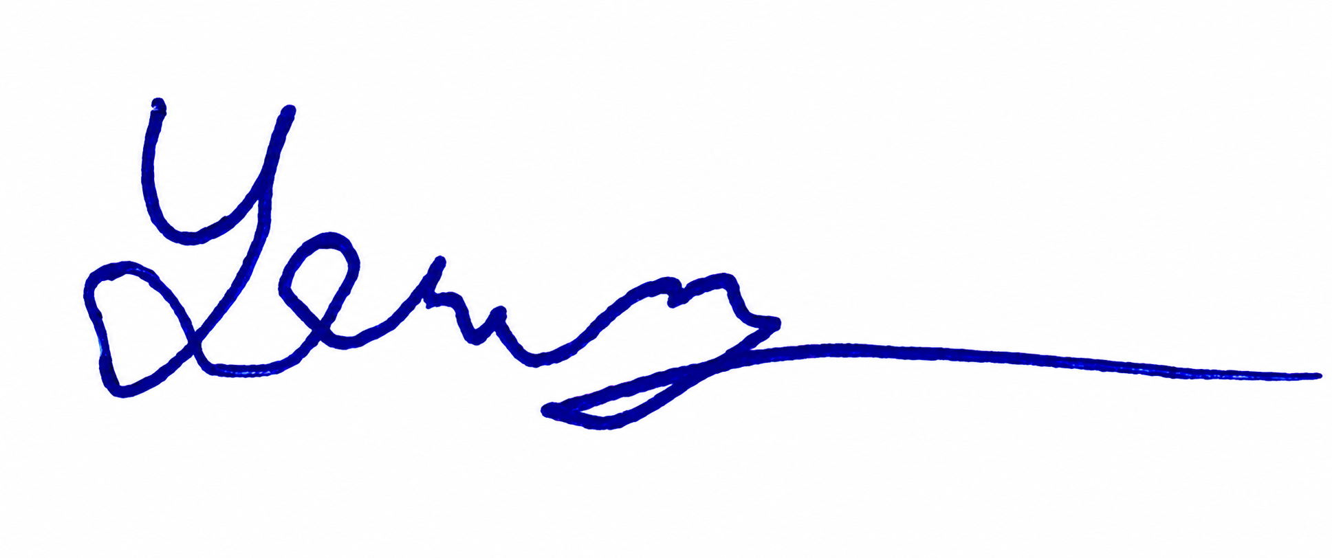Signature preview