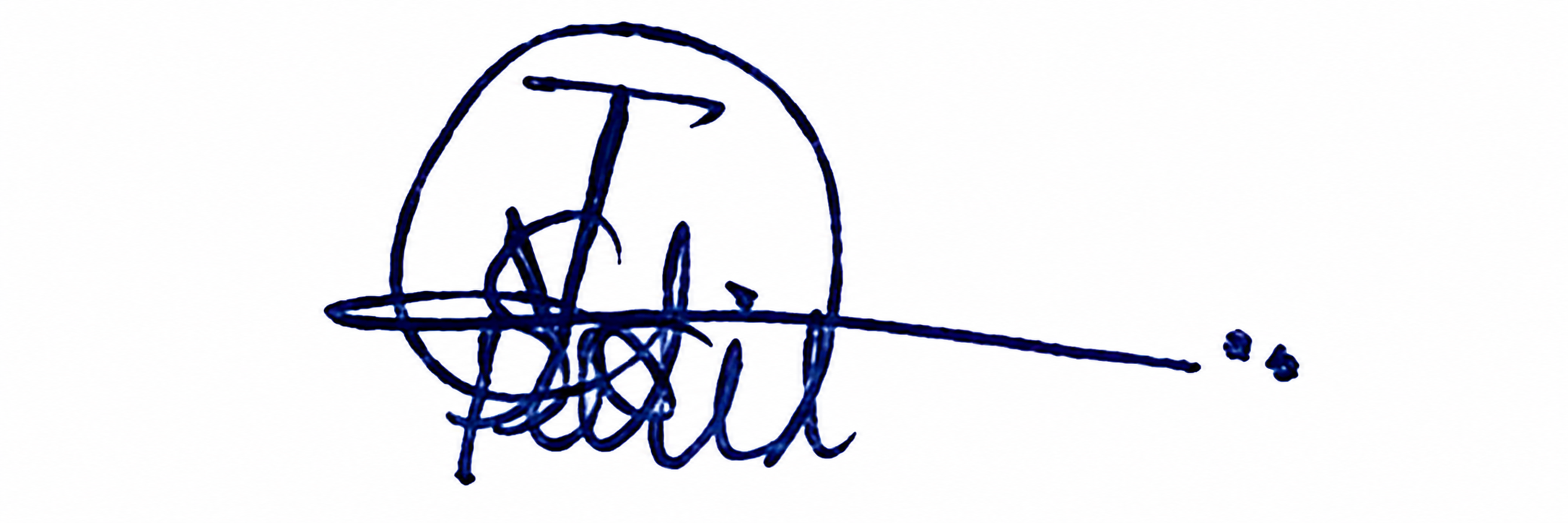 Signature preview