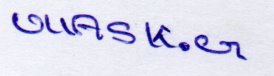 Signature preview