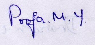Signature preview