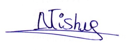 Signature preview