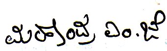 Signature preview