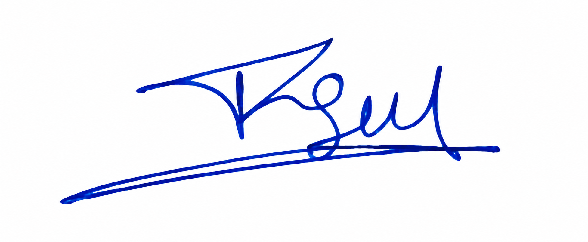 Signature preview
